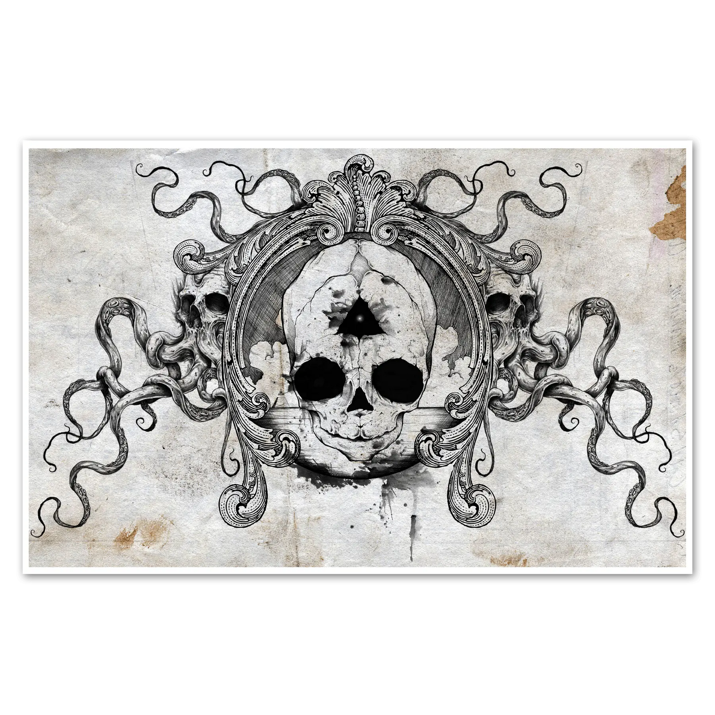 Fetal Skull Print - Blade & Thread