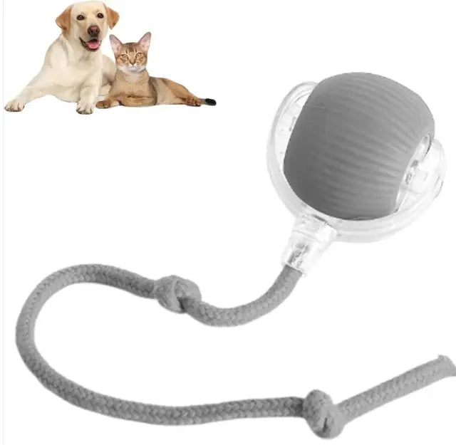 Smart Rolling Pet Ball - Blade & Thread