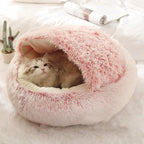 2-in1 Pet Bed - Blade & Thread