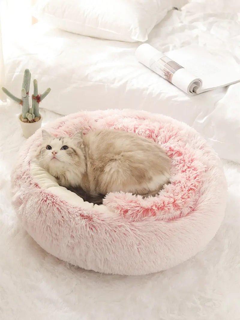 2-in1 Pet Bed - Blade & Thread