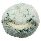 2-in1 Pet Bed - Blade & Thread