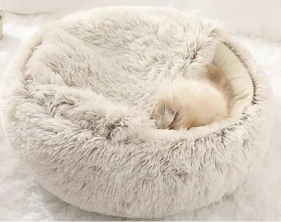 2-in1 Pet Bed - Blade & Thread