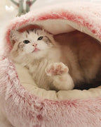 2-in1 Pet Bed - Blade & Thread