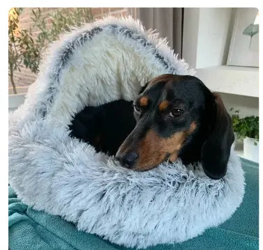 2-in1 Pet Bed - Blade & Thread