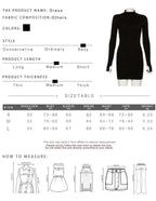 Spring Autumn Stretch Slim Soft Ribbed Knitted Turtleneck Casual Bodycon Zip Dress nowadaysfashion