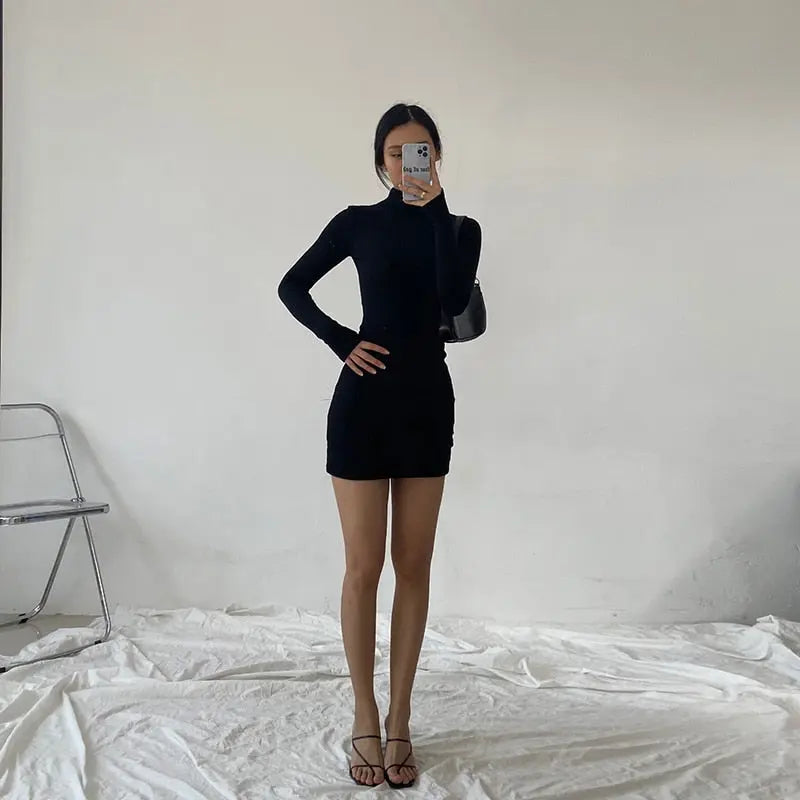 Spring Autumn Fashion Turtleneck Skinny Mini Dress Women Rib Knit Keep Warm Long Sleeve Dress nowadaysfashion