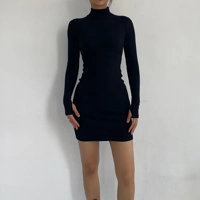 Spring Autumn Fashion Turtleneck Skinny Mini Dress Women Rib Knit Keep Warm Long Sleeve Dress nowadaysfashion