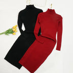 Women Knitted Dress Turtleneck Sweater Dresses Bodycon Long Sleeve Bottoming Dress Vestidos nowadaysfashion