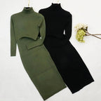 Women Knitted Dress Turtleneck Sweater Dresses Bodycon Long Sleeve Bottoming Dress Vestidos nowadaysfashion