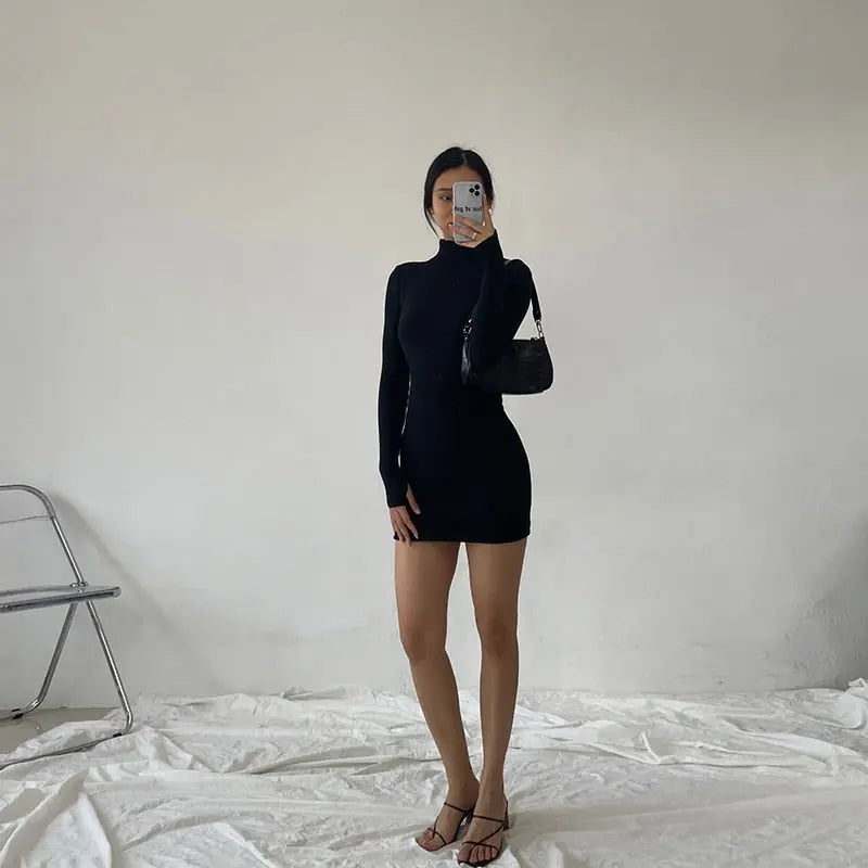 Spring Autumn Fashion Turtleneck Skinny Mini Dress Women Rib Knit Keep Warm Long Sleeve Dress nowadaysfashion