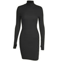 Spring Autumn Fashion Turtleneck Skinny Mini Dress Women Rib Knit Keep Warm Long Sleeve Dress nowadaysfashion
