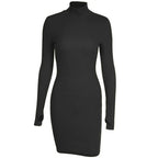 Spring Autumn Fashion Turtleneck Skinny Mini Dress Women Rib Knit Keep Warm Long Sleeve Dress nowadaysfashion