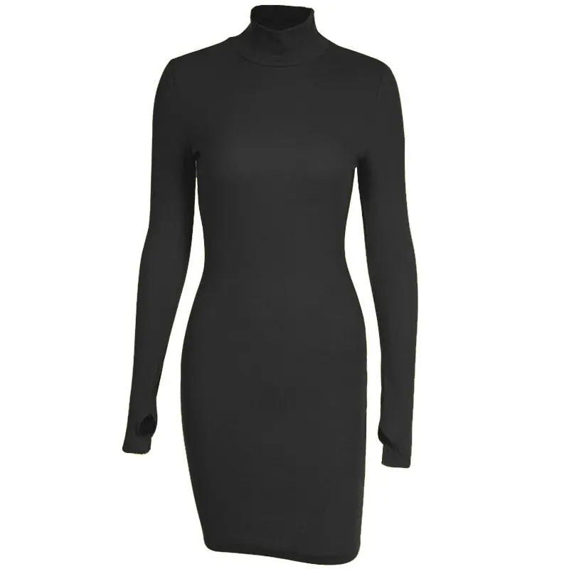 Spring Autumn Fashion Turtleneck Skinny Mini Dress Women Rib Knit Keep Warm Long Sleeve Dress nowadaysfashion