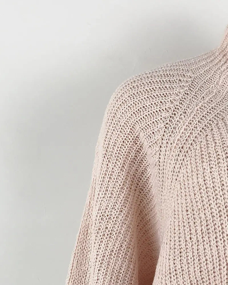 Women Turtleneck Oversized Knitted Dress Solid Long Sleeve Casual Elegant Mini Sweater Dress Plus Size nowadaysfashion