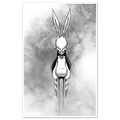 White Rabbit Print Any Means Necessary Clothing