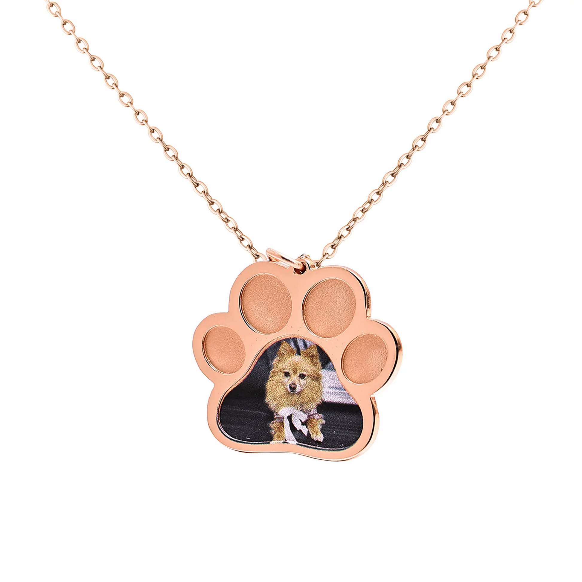 Custom Photo Memorial Jewelry Dog Paw Necklaces Cat Gift - Blade & Thread