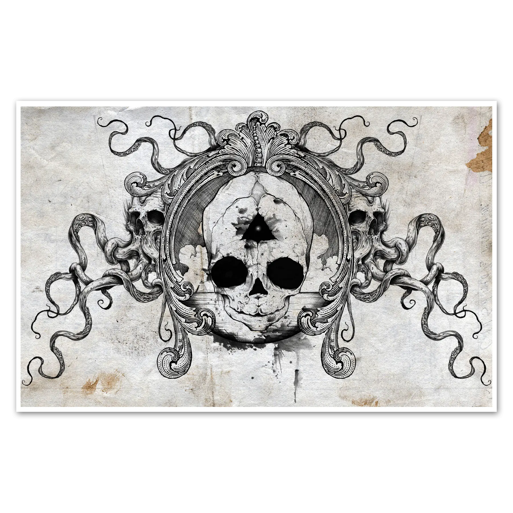 Fetal Skull Print - Blade & Thread