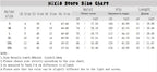 High Street Retro Blue Jeans Shorts Women Y2k Clothing Oversize nowadaysfashion