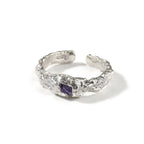 Hip-Hop 925 Silver Ring with Purple Zircon nowadaysfashion