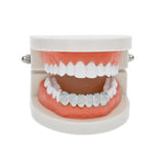 Hip-hop polished braces with gold electroplating nowadaysfashion