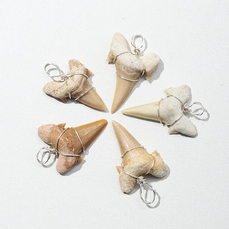 Large shark tooth necklace nowadaysfashion
