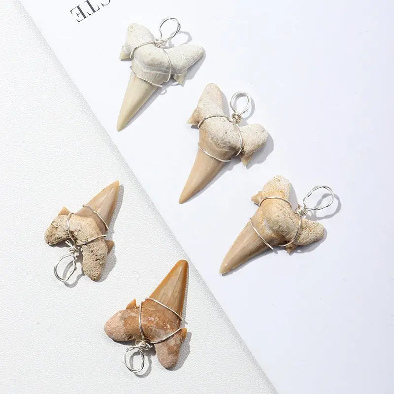 Large shark tooth necklace nowadaysfashion