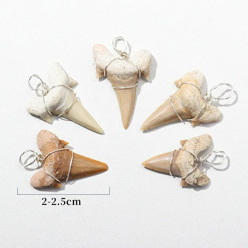 Large shark tooth necklace nowadaysfashion