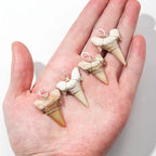 Large shark tooth necklace nowadaysfashion