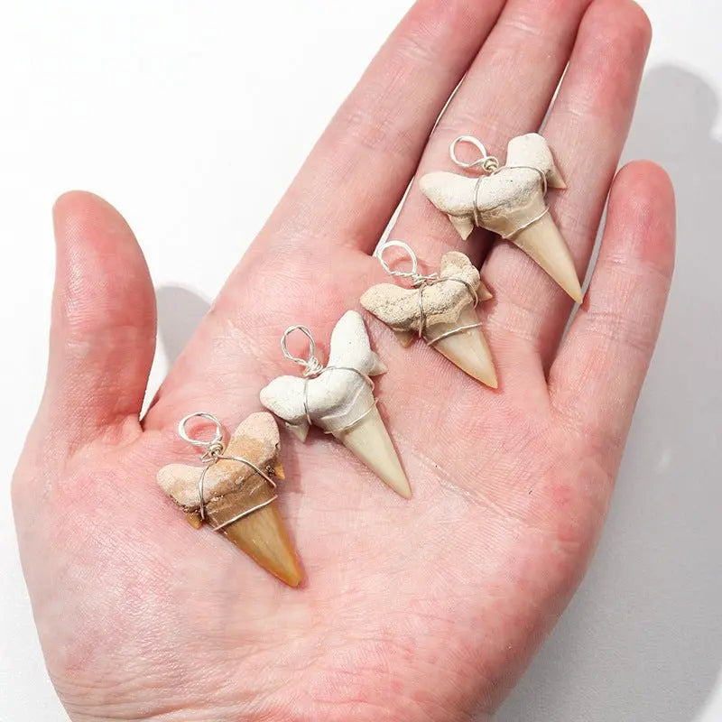 Large shark tooth necklace - Blade & Thread