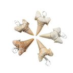 Large shark tooth necklace nowadaysfashion