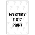 Mystery 11x17 Print Any Means Necessary Clothing