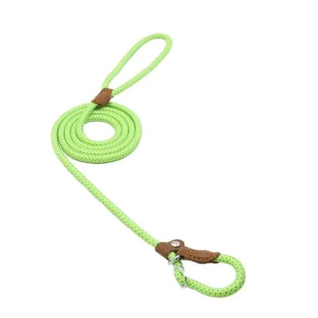 Nylon Pup Set - Blade & Thread