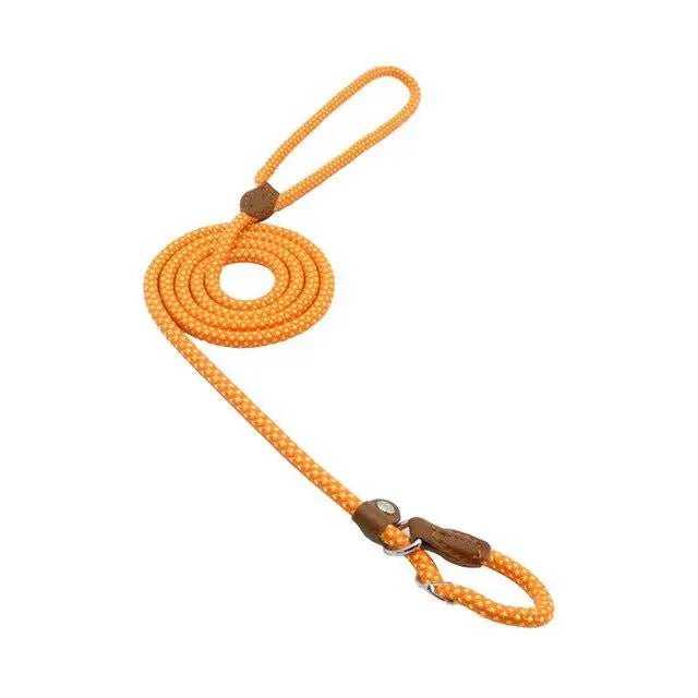 Nylon Pup Set - Blade & Thread