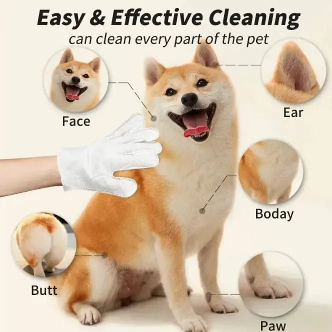 Pet Cleaning Gloves & Wipes - Blade & Thread
