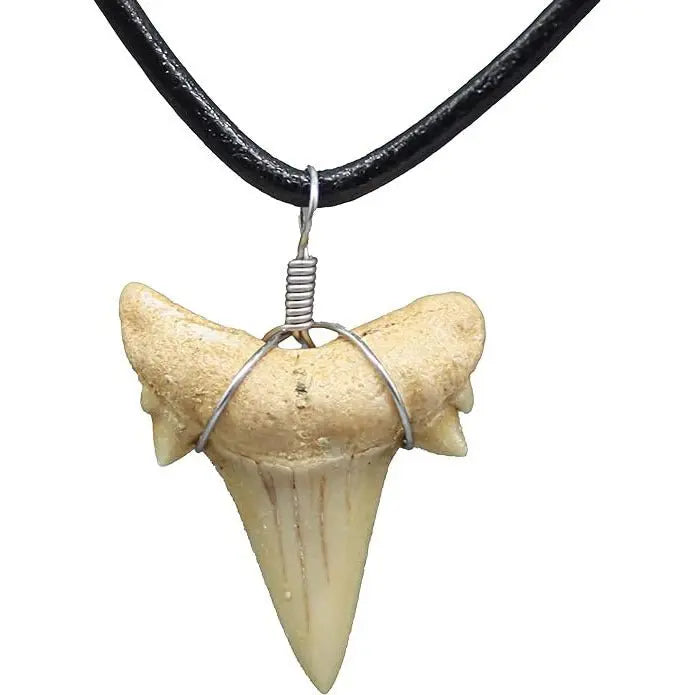 shark tooth necklace - Blade & Thread