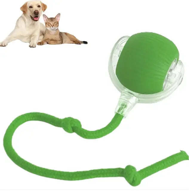 Smart Rolling Pet Ball - Blade & Thread