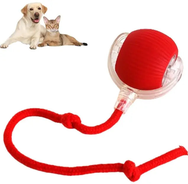 Smart Rolling Pet Ball - Blade & Thread