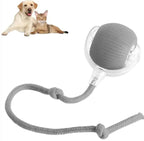 Smart Rolling Pet Ball - Blade & Thread