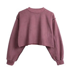 Thick Cotton Women Sweatshirt Hoodie Casual Loose Long Sleeve Streetwear Crop Pullover nowadaysfashion
