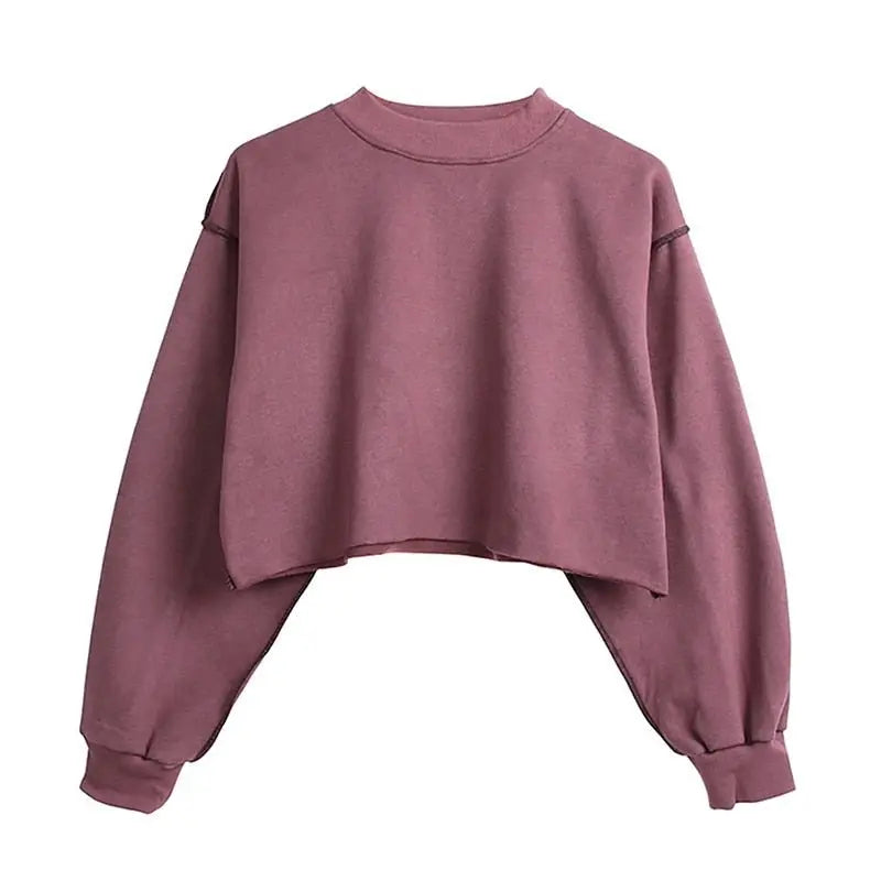 Thick Cotton Women Sweatshirt Hoodie Casual Loose Long Sleeve Streetwear Crop Pullover nowadaysfashion