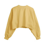 Thick Cotton Women Sweatshirt Hoodie Casual Loose Long Sleeve Streetwear Crop Pullover nowadaysfashion