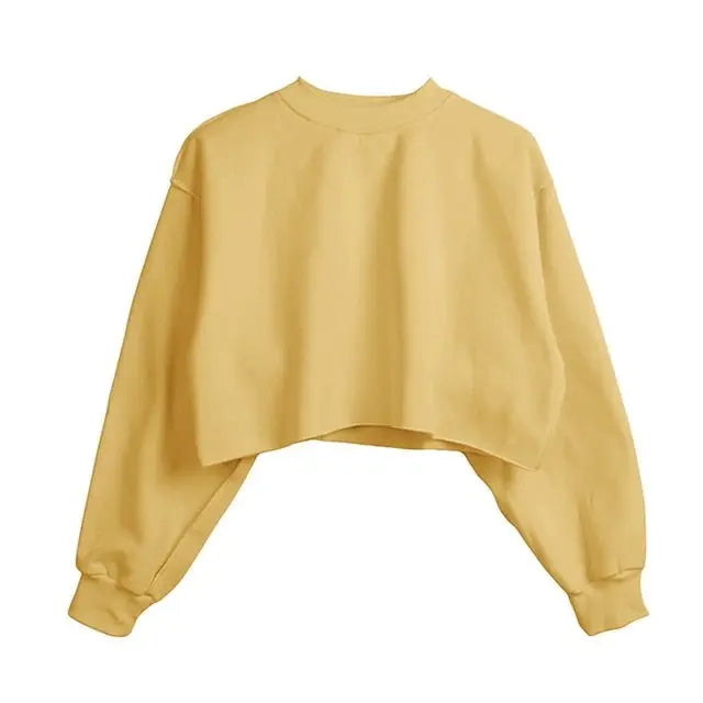 Thick Cotton Women Sweatshirt Hoodie Casual Loose Long Sleeve Streetwear Crop Pullover nowadaysfashion