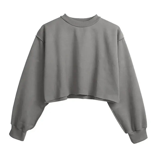 Thick Cotton Women Sweatshirt Hoodie Casual Loose Long Sleeve Streetwear Crop Pullover - Blade & Thread