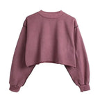 Thick Cotton Women Sweatshirt Hoodie Casual Loose Long Sleeve Streetwear Crop Pullover nowadaysfashion