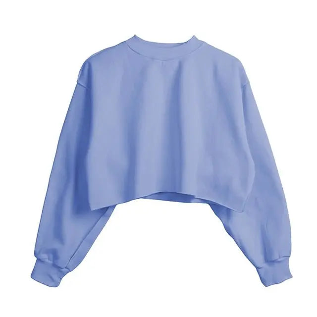 Thick Cotton Women Sweatshirt Hoodie Casual Loose Long Sleeve Streetwear Crop Pullover - Blade & Thread
