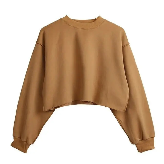 Thick Cotton Women Sweatshirt Hoodie Casual Loose Long Sleeve Streetwear Crop Pullover - Blade & Thread