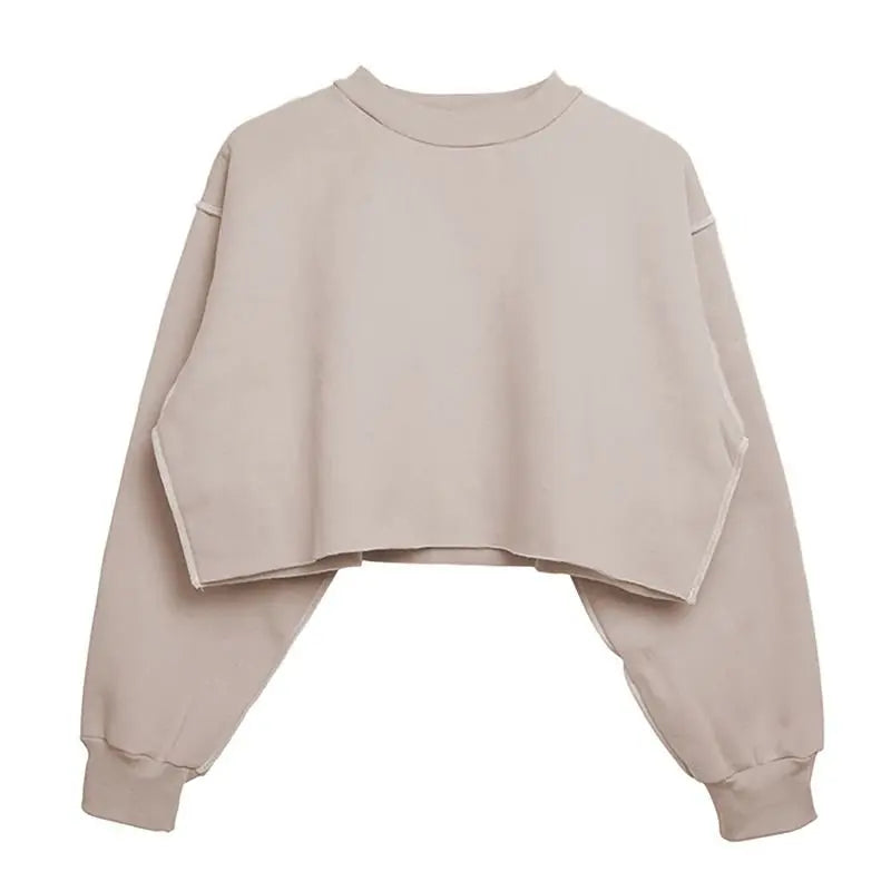 Thick Cotton Women Sweatshirt Hoodie Casual Loose Long Sleeve Streetwear Crop Pullover nowadaysfashion