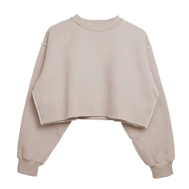 Thick Cotton Women Sweatshirt Hoodie Casual Loose Long Sleeve Streetwear Crop Pullover - Blade & Thread