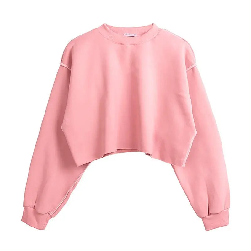 Thick Cotton Women Sweatshirt Hoodie Casual Loose Long Sleeve Streetwear Crop Pullover nowadaysfashion