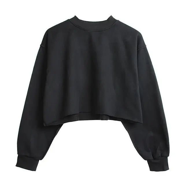 Thick Cotton Women Sweatshirt Hoodie Casual Loose Long Sleeve Streetwear Crop Pullover nowadaysfashion